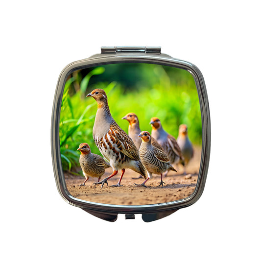 Family Of Partridge Birds Small Travel Purse Handbag Pocket Makeup Compact Mirror