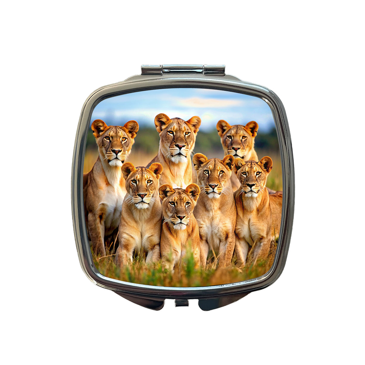 Female Lions Small Travel Purse Handbag Pocket Makeup Compact Mirror