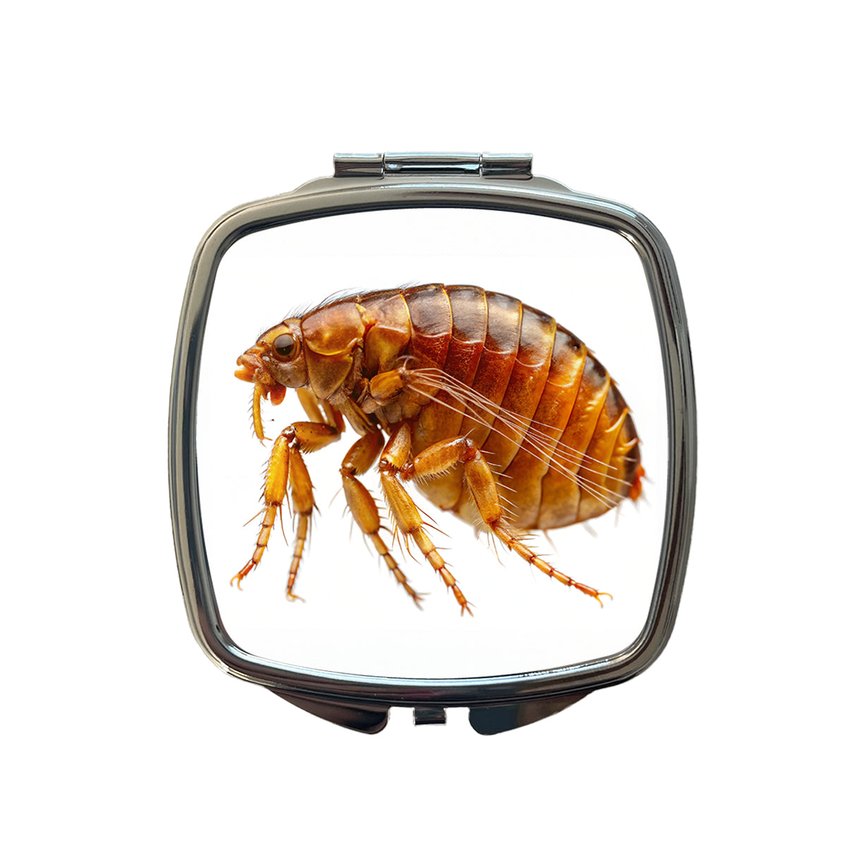 Flea Small Travel Purse Handbag Pocket Makeup Compact Mirror