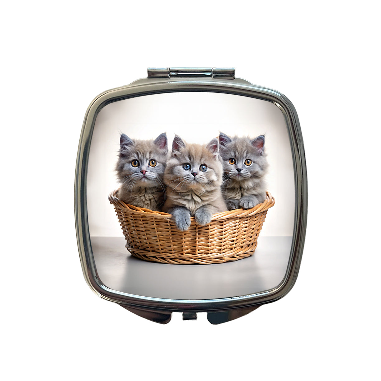 Gray British Longhair Kittens In A Basket Small Travel Purse Handbag Pocket Makeup Compact Mirror