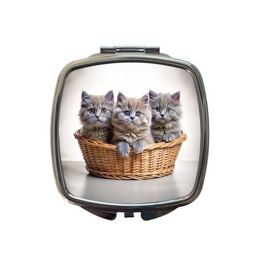 Gray British Longhair Kittens In A Basket Small Travel Purse Handbag Pocket Makeup Compact Mirror