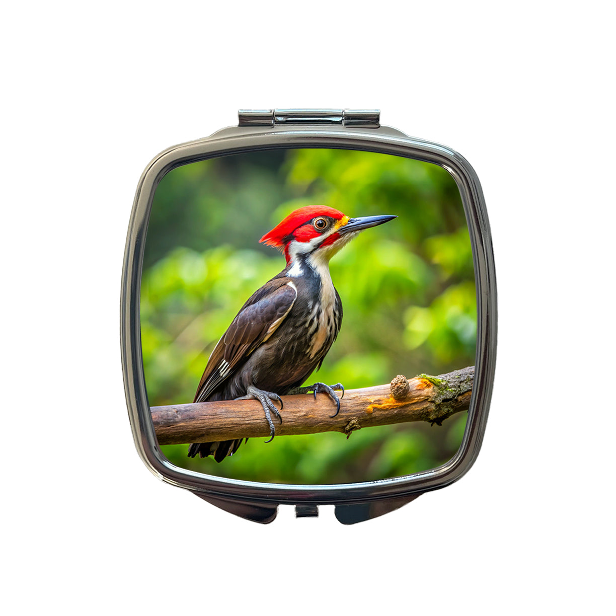 Pileated Woodpecker Backyard Bird Small Travel Purse Handbag Pocket Makeup Compact Mirror