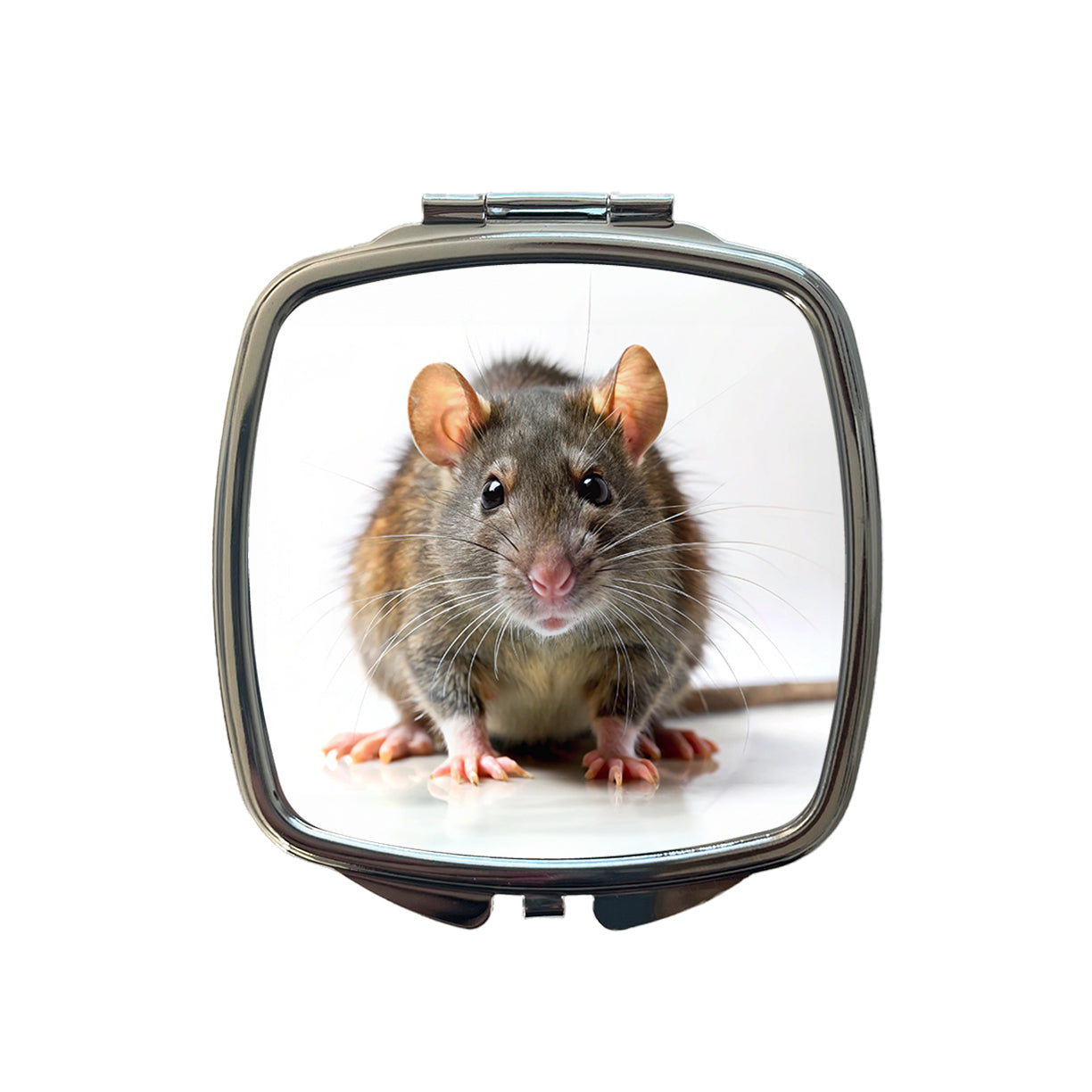 Rat Small Travel Purse Handbag Pocket Makeup Compact Mirror