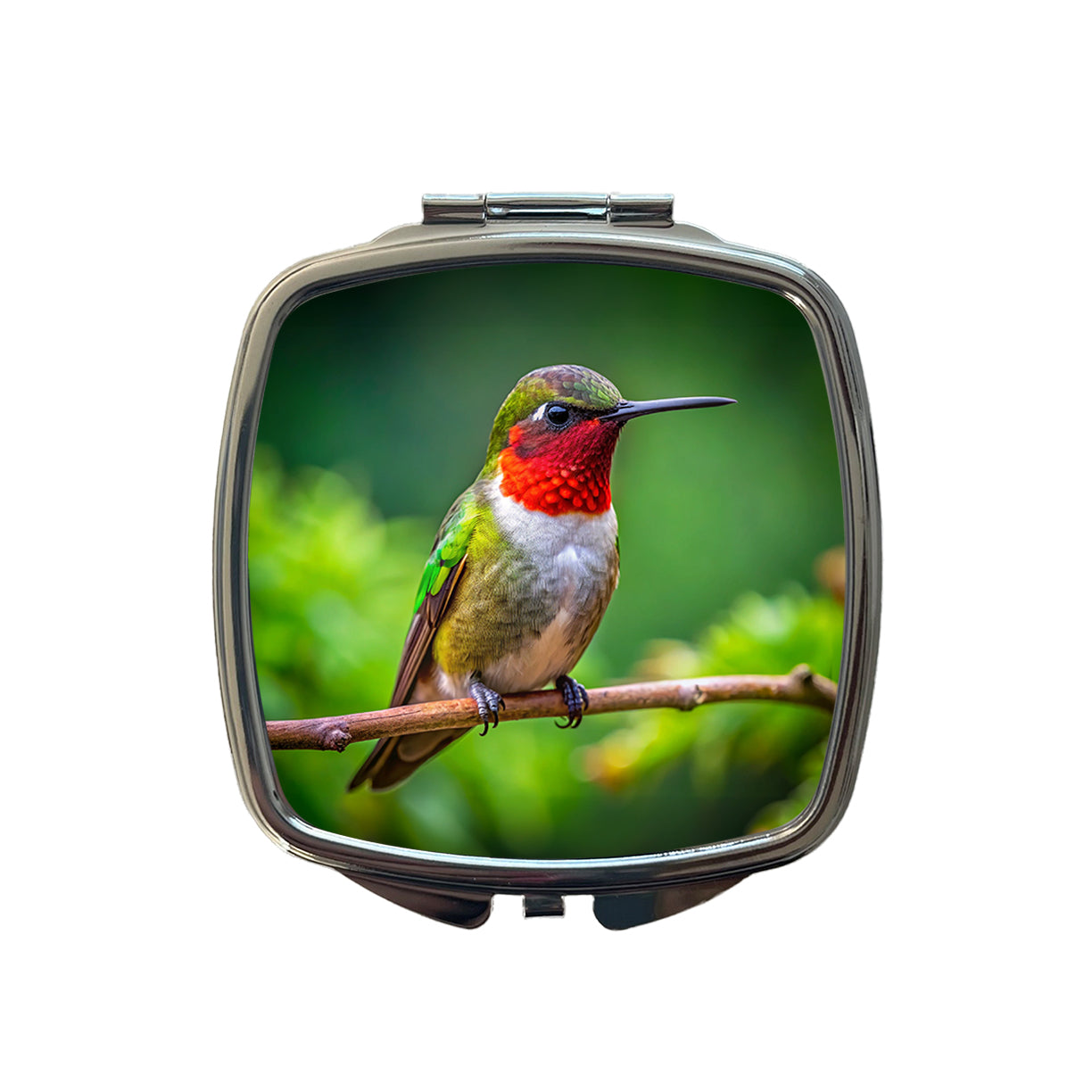 Ruby Throated Hummingbird Backyard Bird Small Travel Purse Handbag Pocket Makeup Compact Mirror