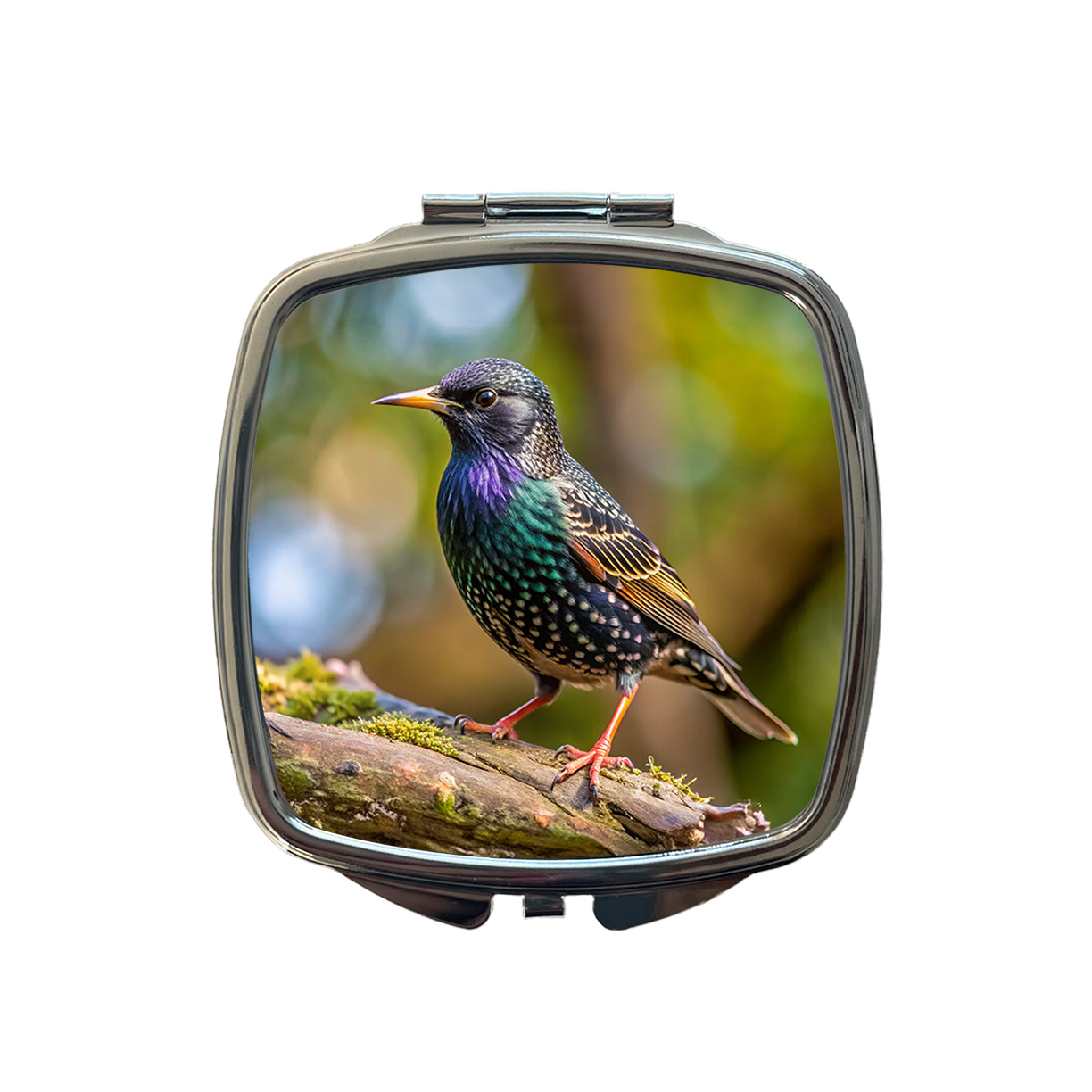 Starling Backyard Bird Small Travel Purse Handbag Pocket Makeup Compact Mirror