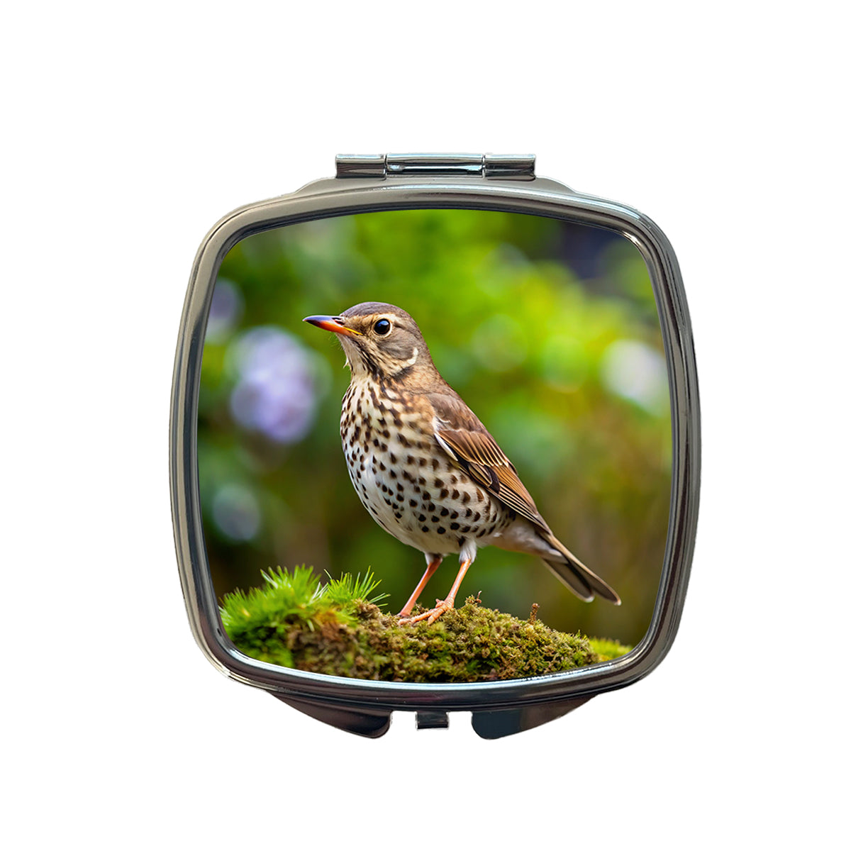 Thrush Bird Backyard Bird Small Travel Purse Handbag Pocket Makeup Compact Mirror