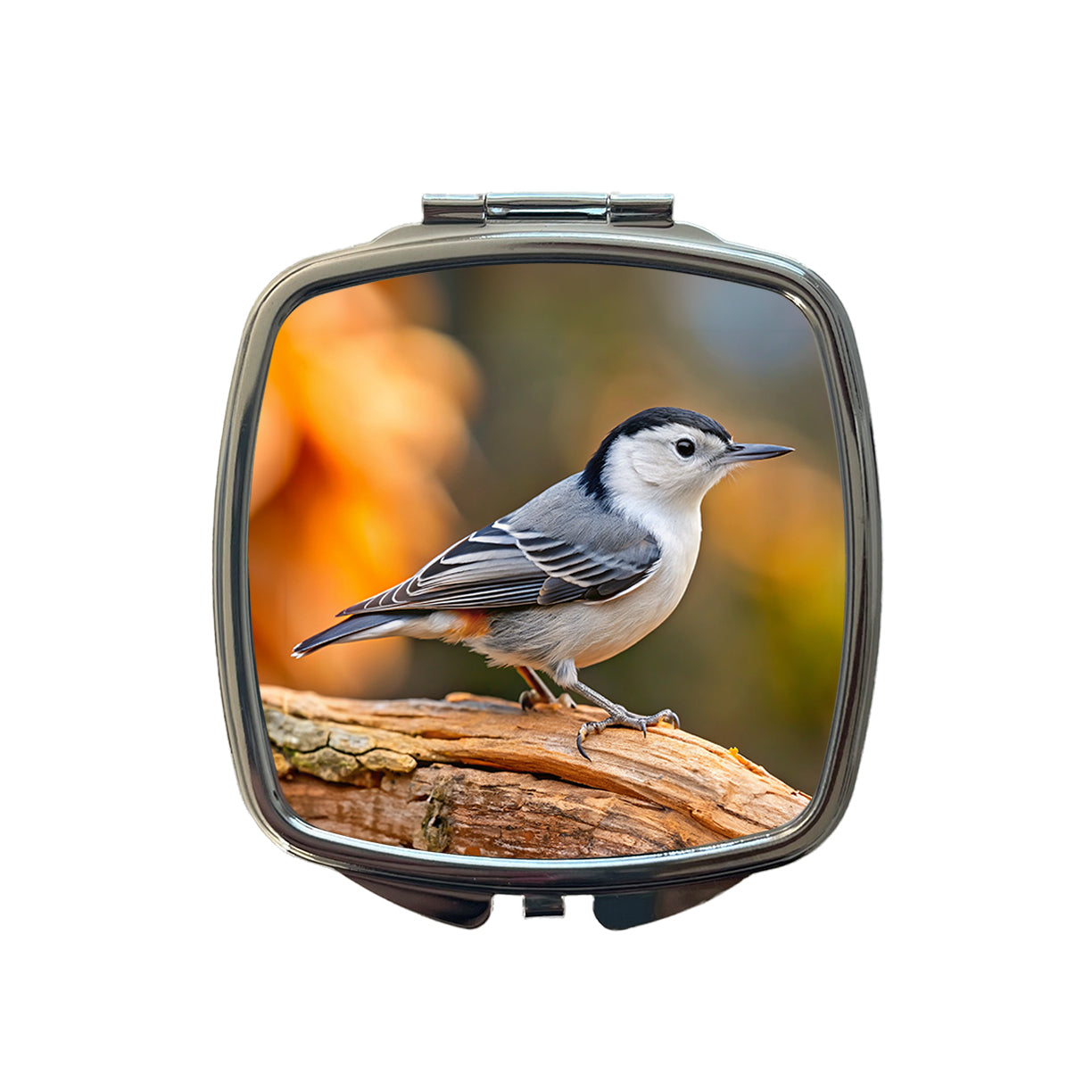 White Breasted Nuthatch Backyard Bird Small Travel Purse Handbag Pocket Makeup Compact Mirror
