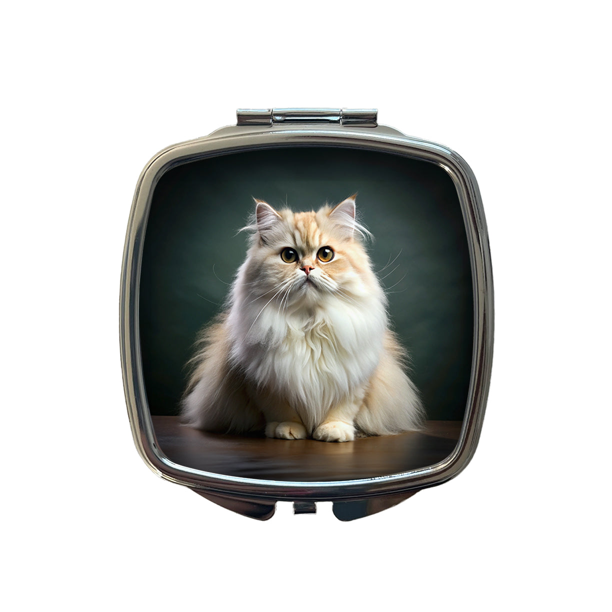 Persian Cat Photo Small Travel Purse Handbag Pocket Makeup Compact Mirror