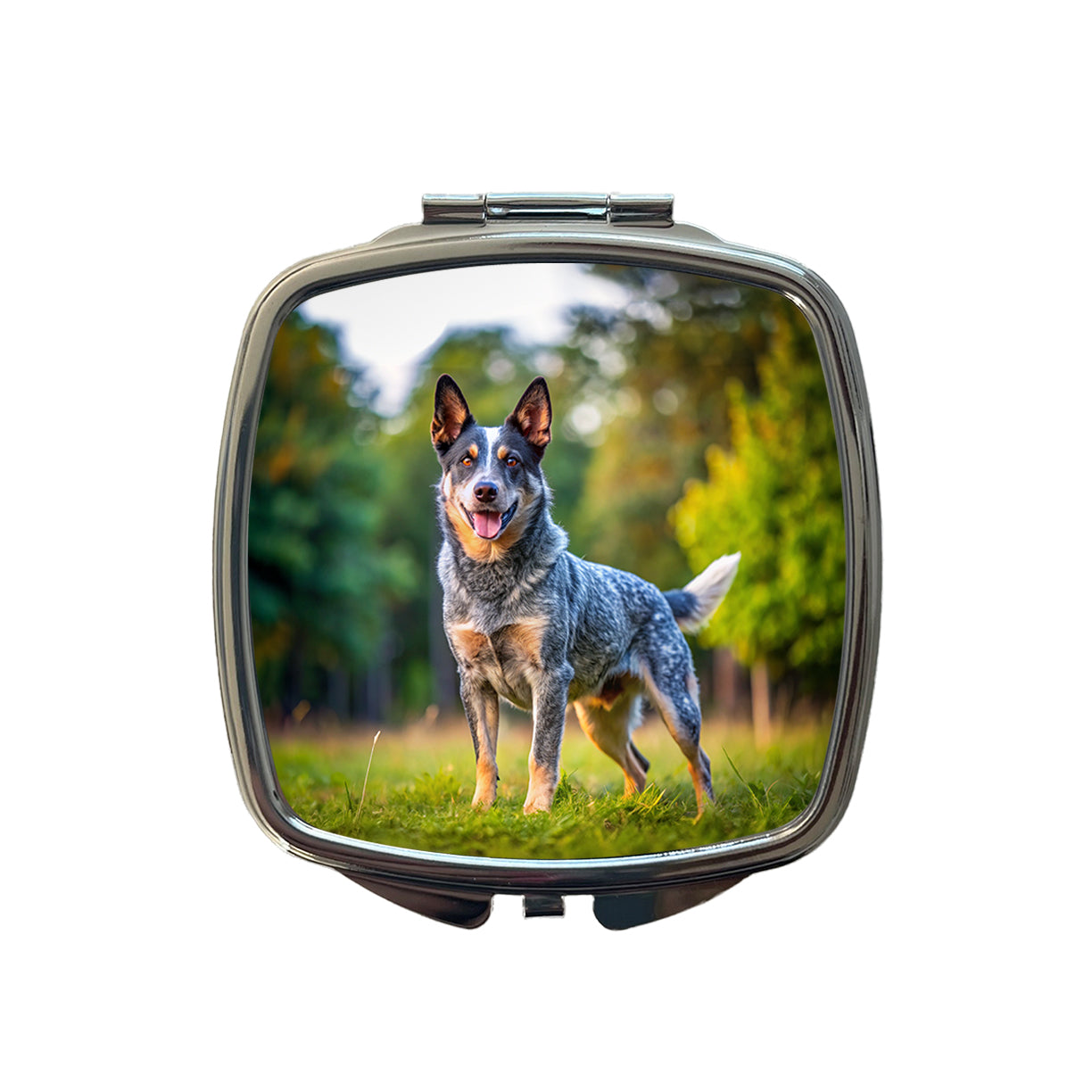 Australian Cattle Dog Photo Small Travel Purse Handbag Pocket Makeup Compact Mirror