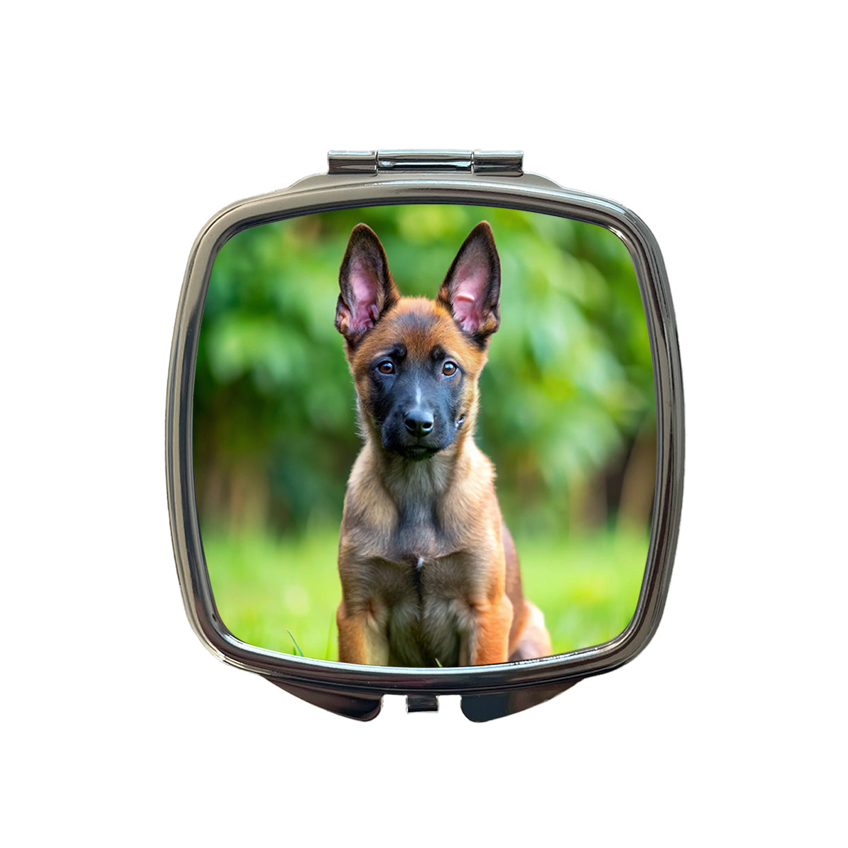Belgian Malinois Dog Puppy Photo Small Travel Purse Handbag Pocket Makeup Compact Mirror