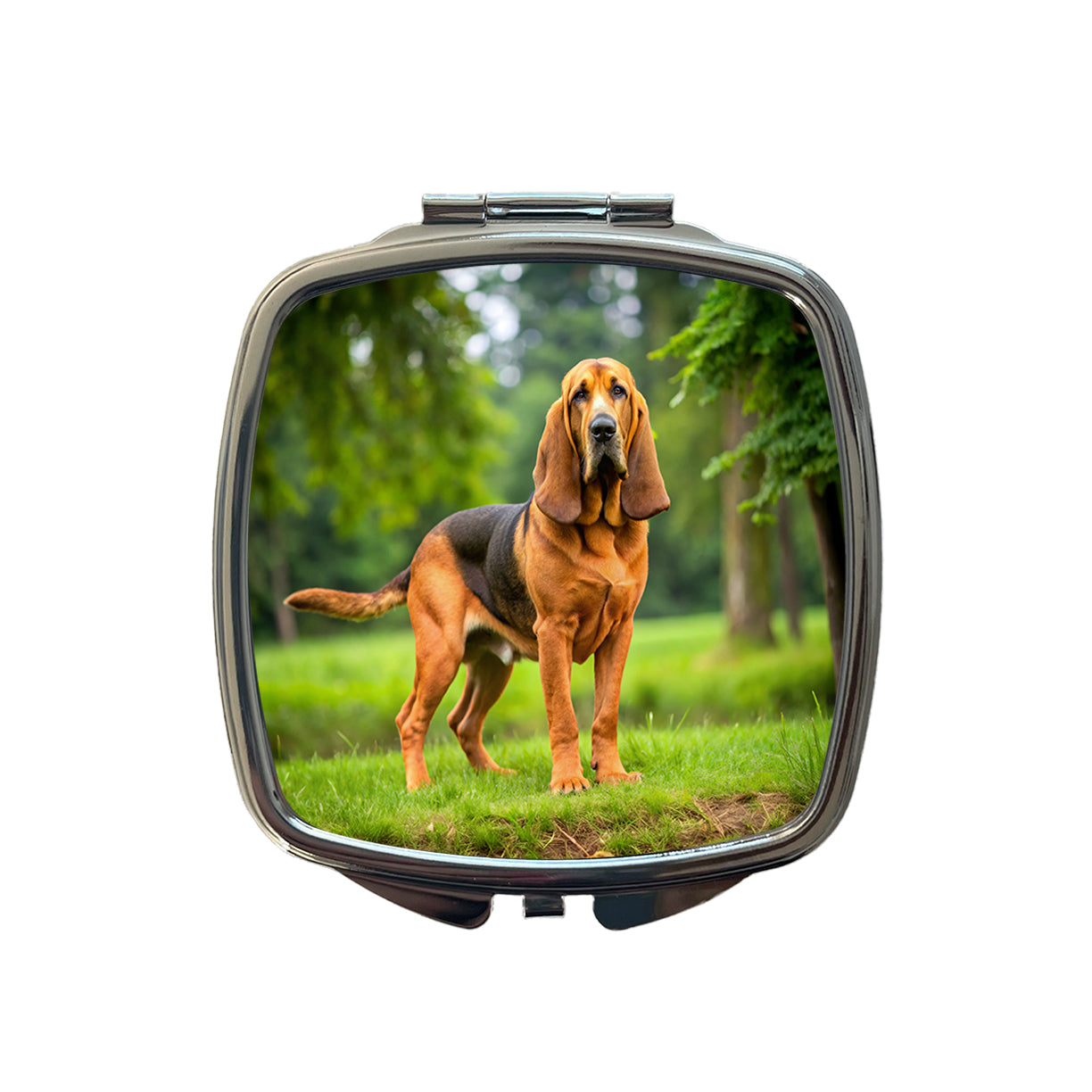 Bloodhound Dog Photo Small Travel Purse Handbag Pocket Makeup Compact Mirror