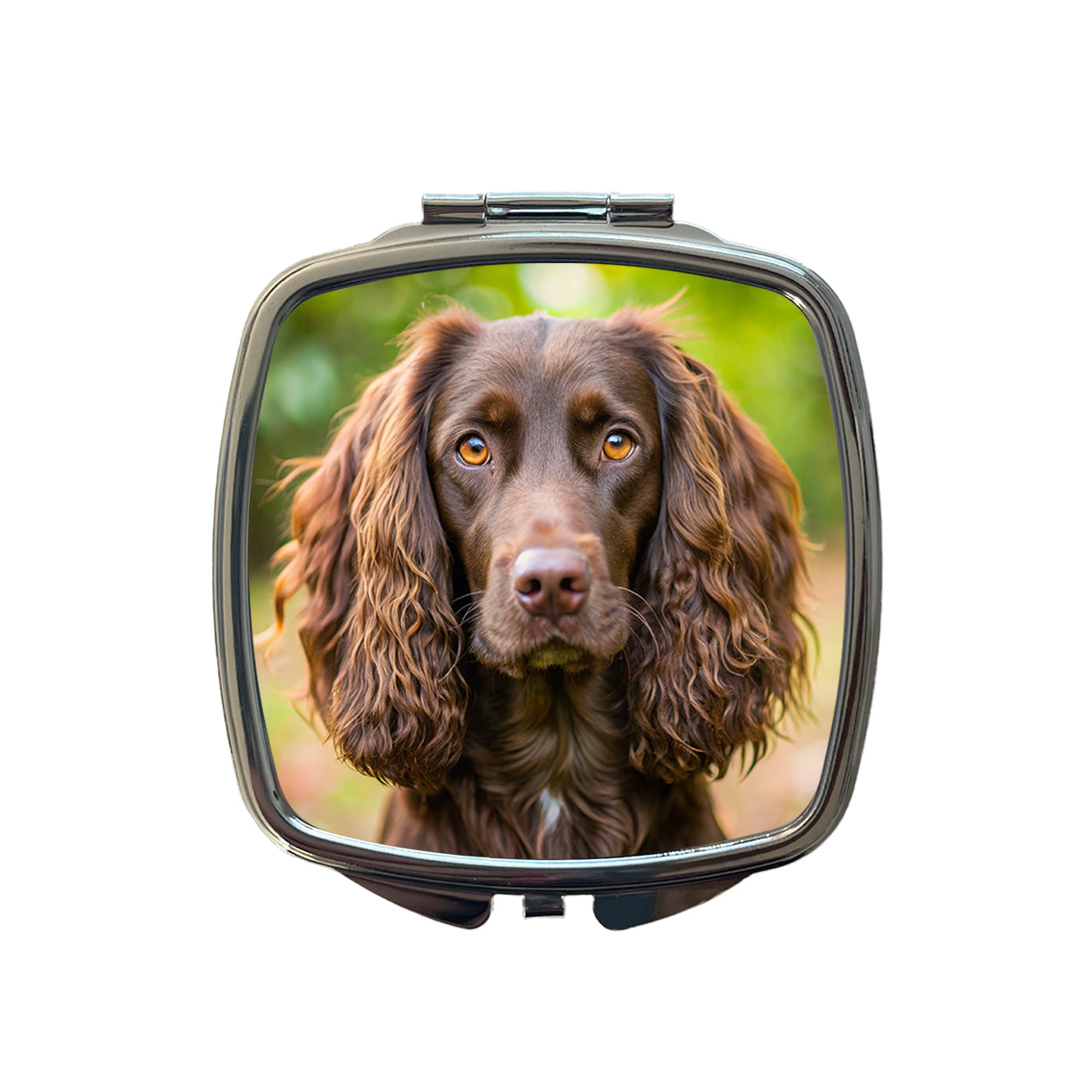 Boykin Spaniel Dog Photo Small Travel Purse Handbag Pocket Makeup Compact Mirror