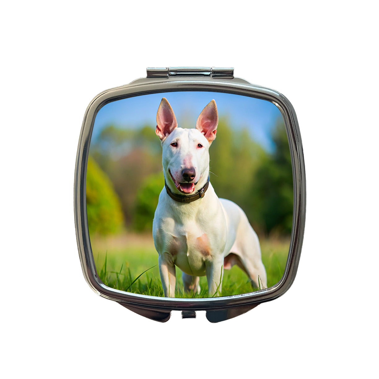 Bull Terrier Dog Photo Small Travel Purse Handbag Pocket Makeup Compact Mirror