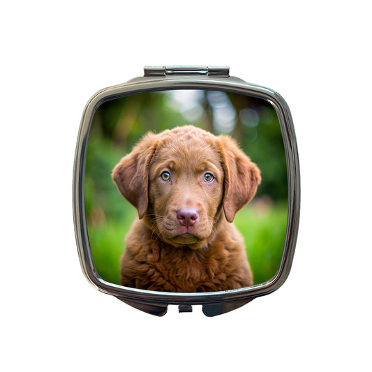 Chesapeake Bay Retriever Dog Puppy Photo Small Travel Purse Handbag Pocket Makeup Compact Mirror