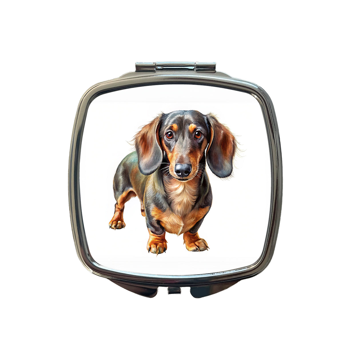 Dachshund Dog Illustration Small Travel Purse Handbag Pocket Makeup Compact Mirror