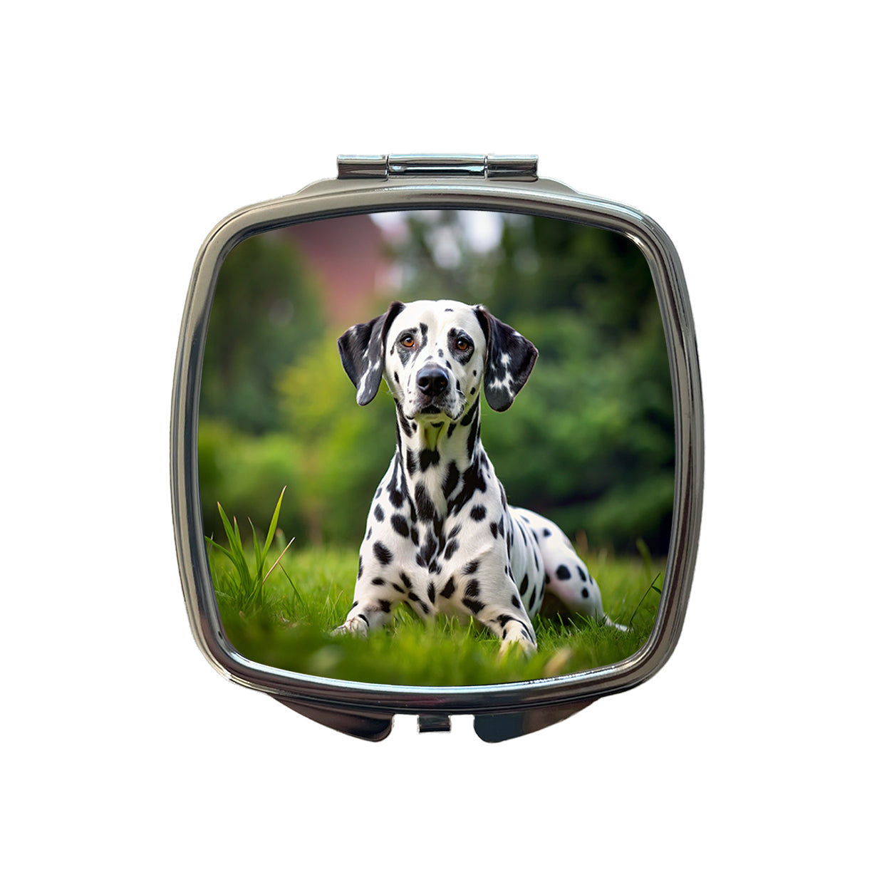 Dalmatian Dog Photo Small Travel Purse Handbag Pocket Makeup Compact Mirror