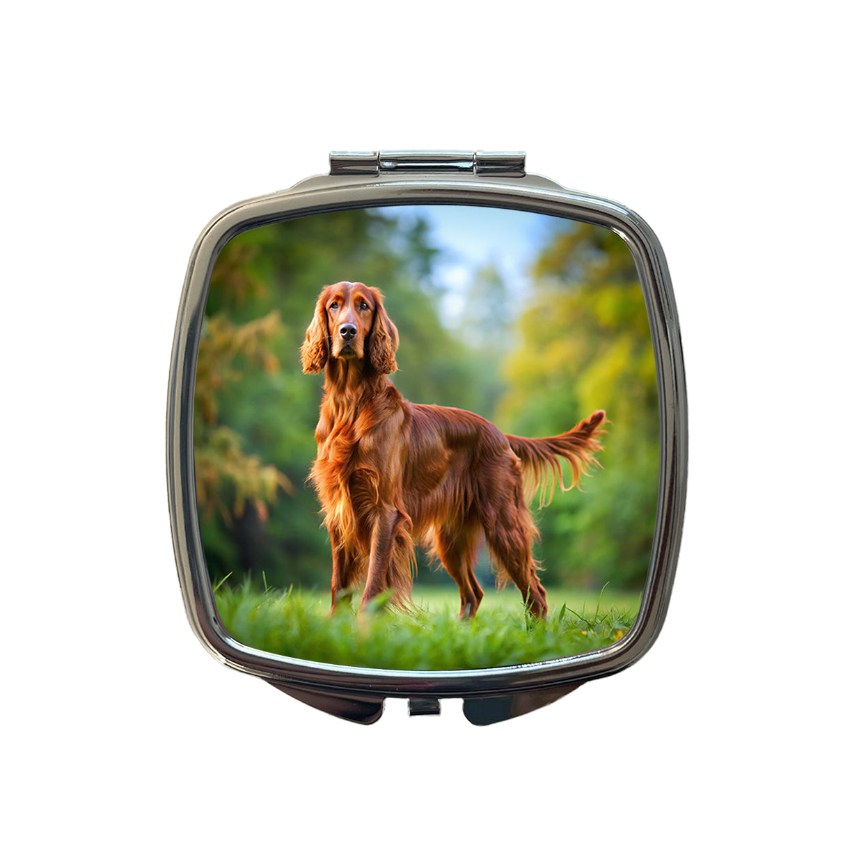 Irish Setter Dog Photo Small Travel Purse Handbag Pocket Makeup Compact Mirror