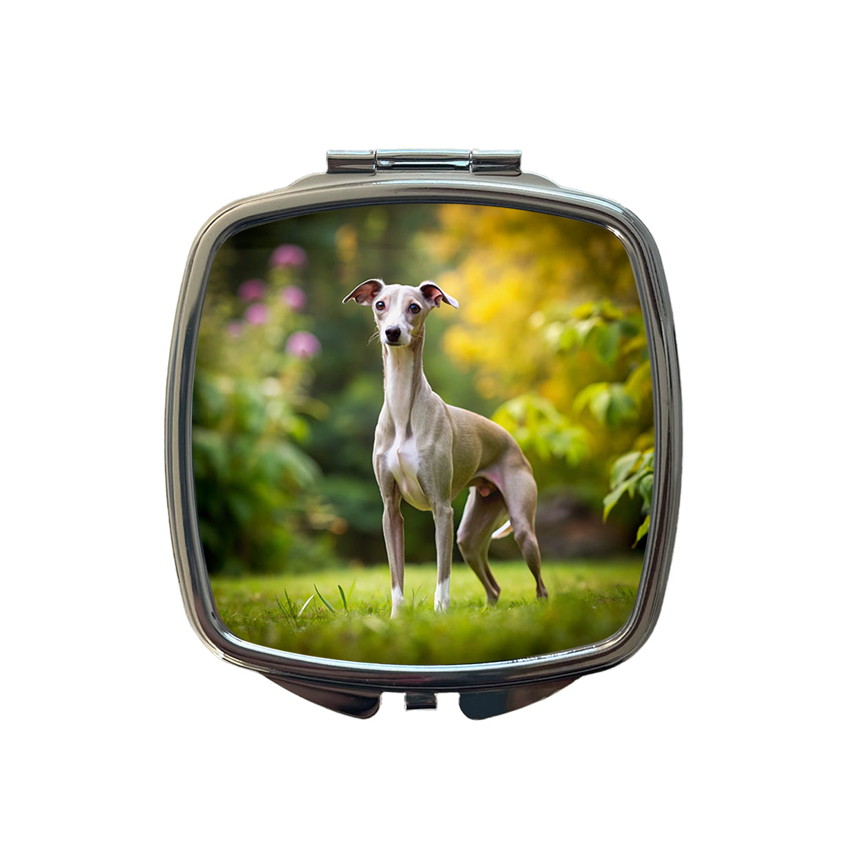 Italian Greyhound Dog Photo Small Travel Purse Handbag Pocket Makeup Compact Mirror