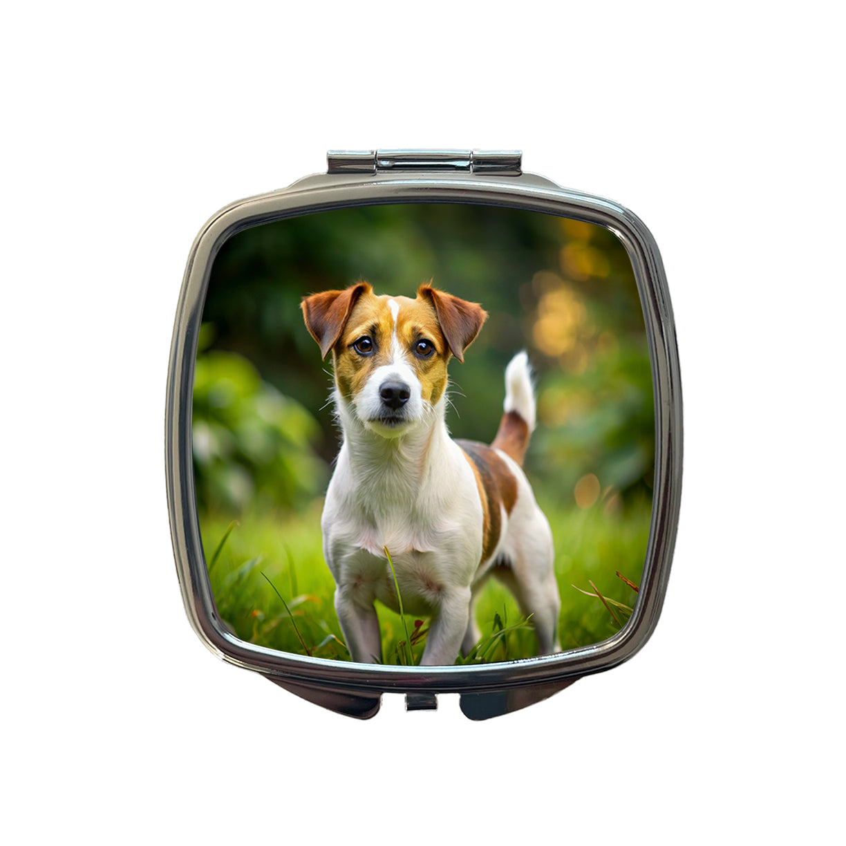 Jack Russell Terrier Dog Photo Small Travel Purse Handbag Pocket Makeup Compact Mirror