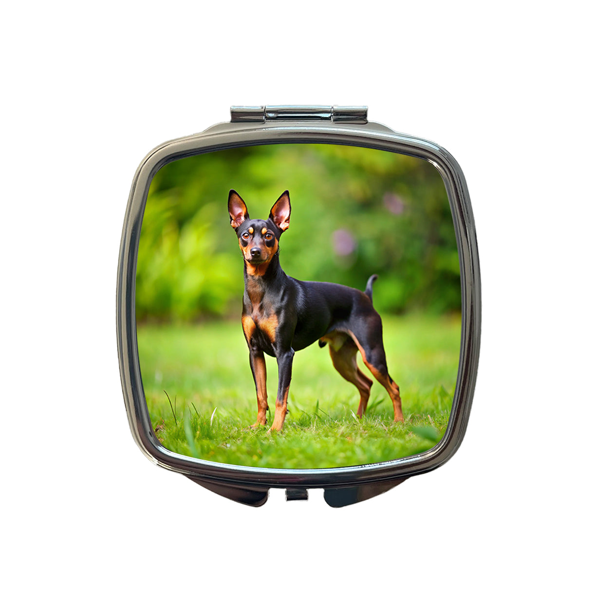 Miniature Pinscher Dog Photo Small Travel Purse Handbag Pocket Makeup Compact Mirror