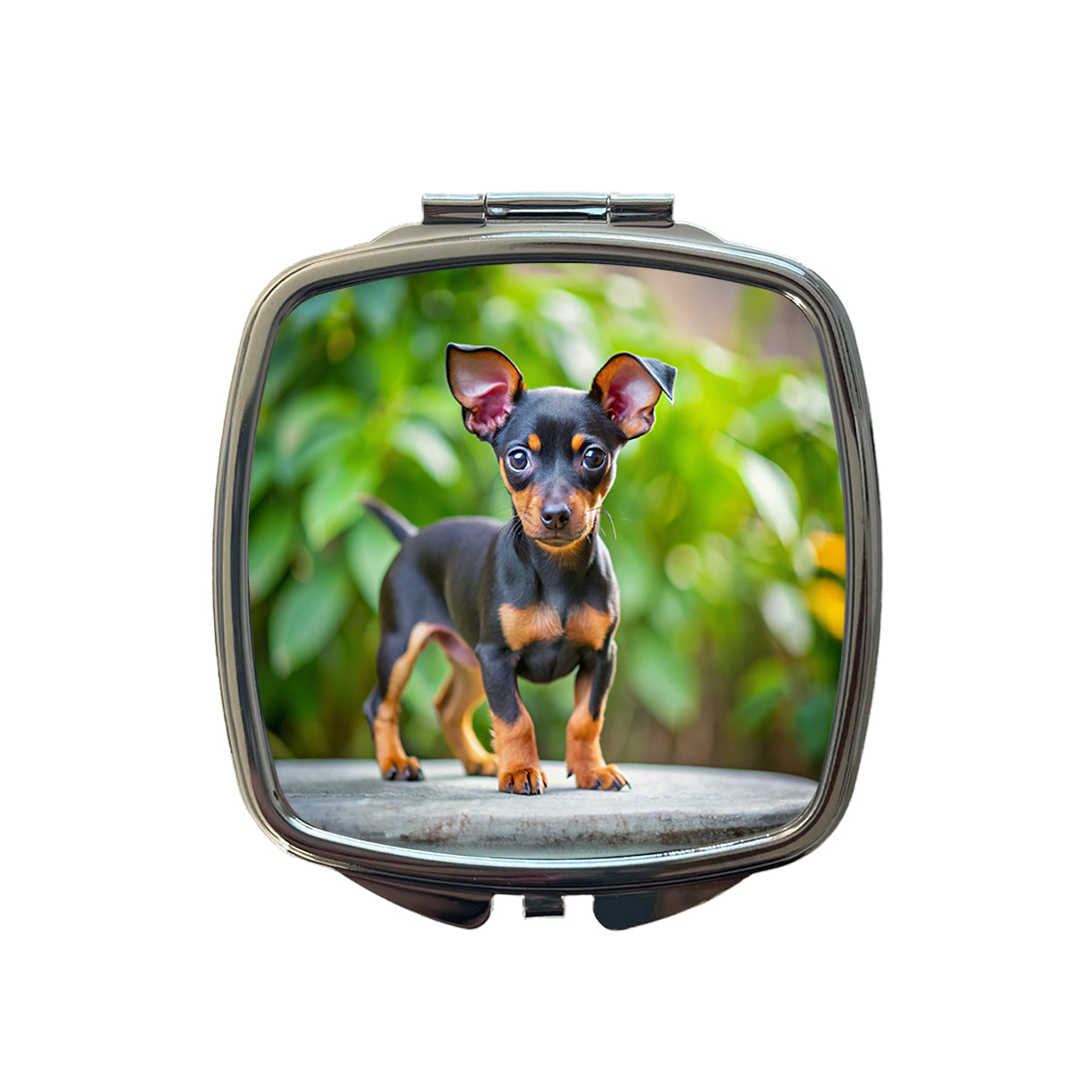 Miniature Pinscher Dog Puppy Photo Small Travel Purse Handbag Pocket Makeup Compact Mirror