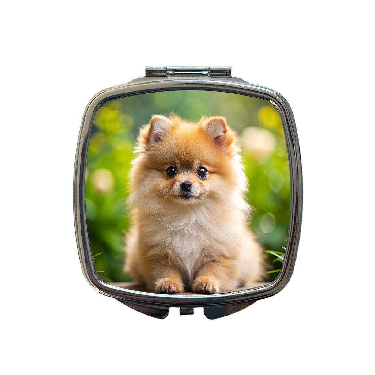 Pomeranian Dog Puppy Photo Small Travel Purse Handbag Pocket Makeup Compact Mirror