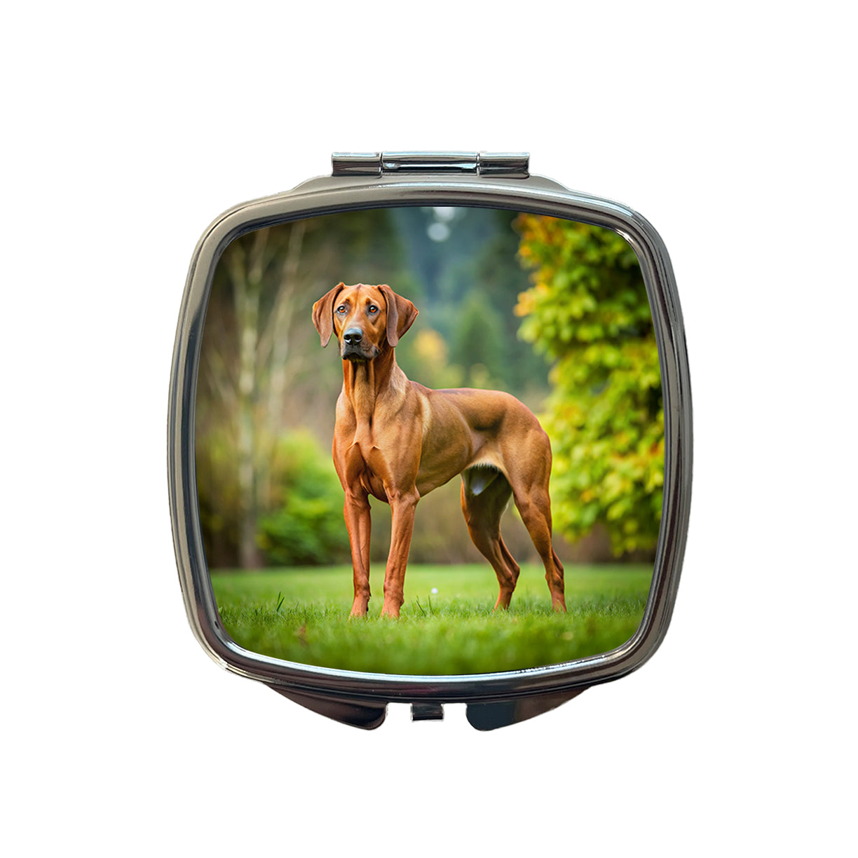 Rhodesian Ridgeback Dog Photo Small Travel Purse Handbag Pocket Makeup Compact Mirror