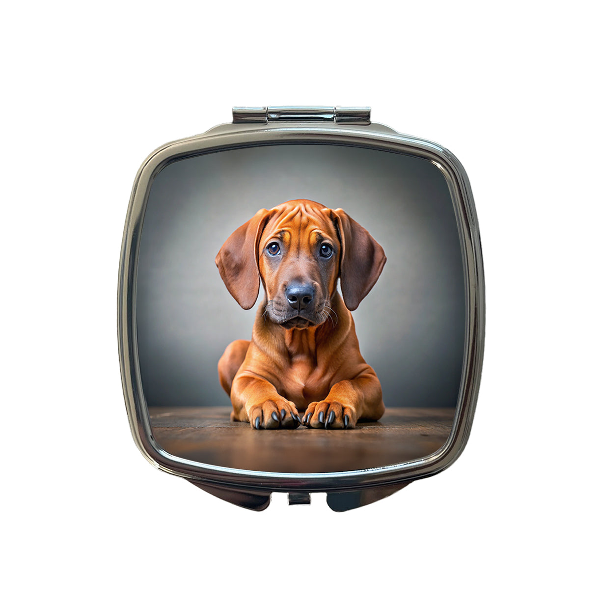 Rhodesian Ridgeback Dog Puppy Photo Small Travel Purse Handbag Pocket Makeup Compact Mirror