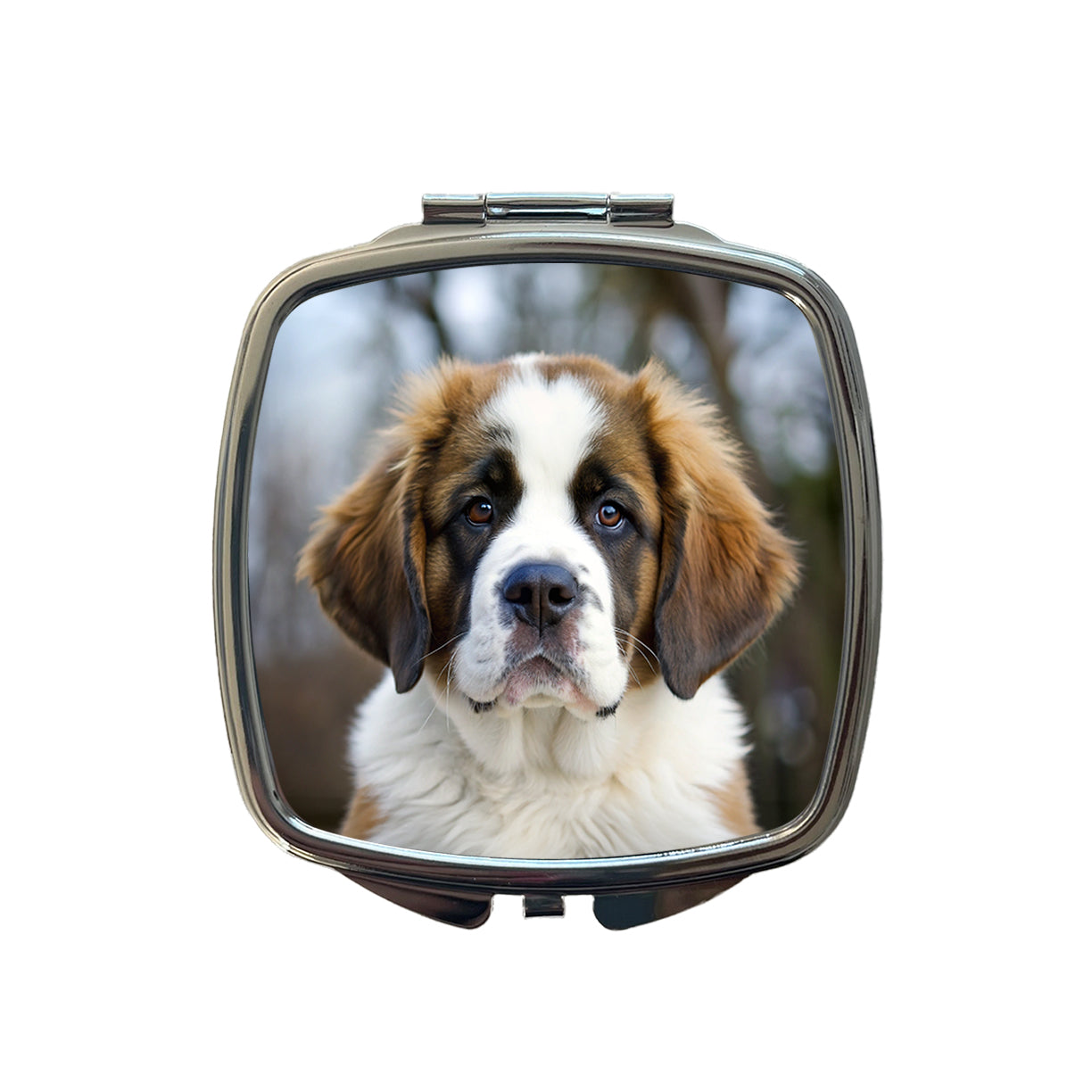 Saint Bernard Dog Puppy Photo Small Travel Purse Handbag Pocket Makeup Compact Mirror