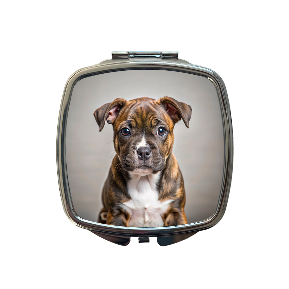 Staffordshire Bull Terrier Staffy Dog Puppy Photo Small Travel Purse Handbag Pocket Makeup Compact Mirror