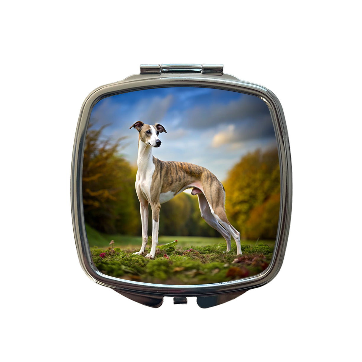 Whippet Dog Photo Small Travel Purse Handbag Pocket Makeup Compact Mirror