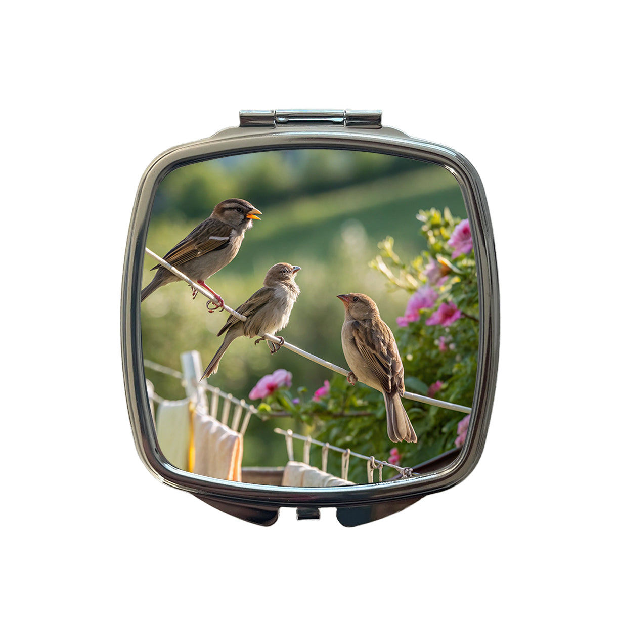 Birds On A Clothesline Small Travel Purse Handbag Pocket Makeup Compact Mirror