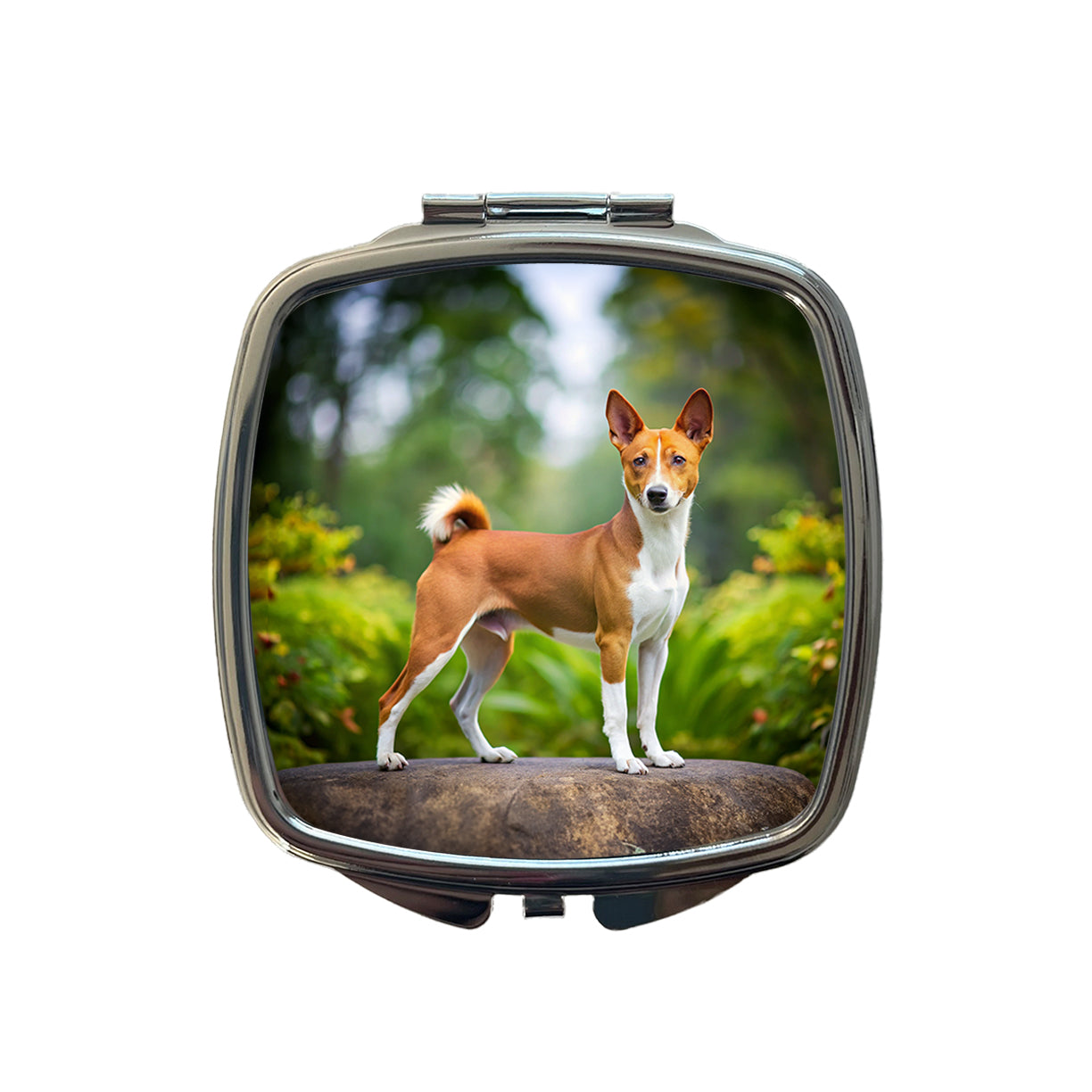 Basenji Dog Photo Small Travel Purse Handbag Pocket Makeup Compact Mirror