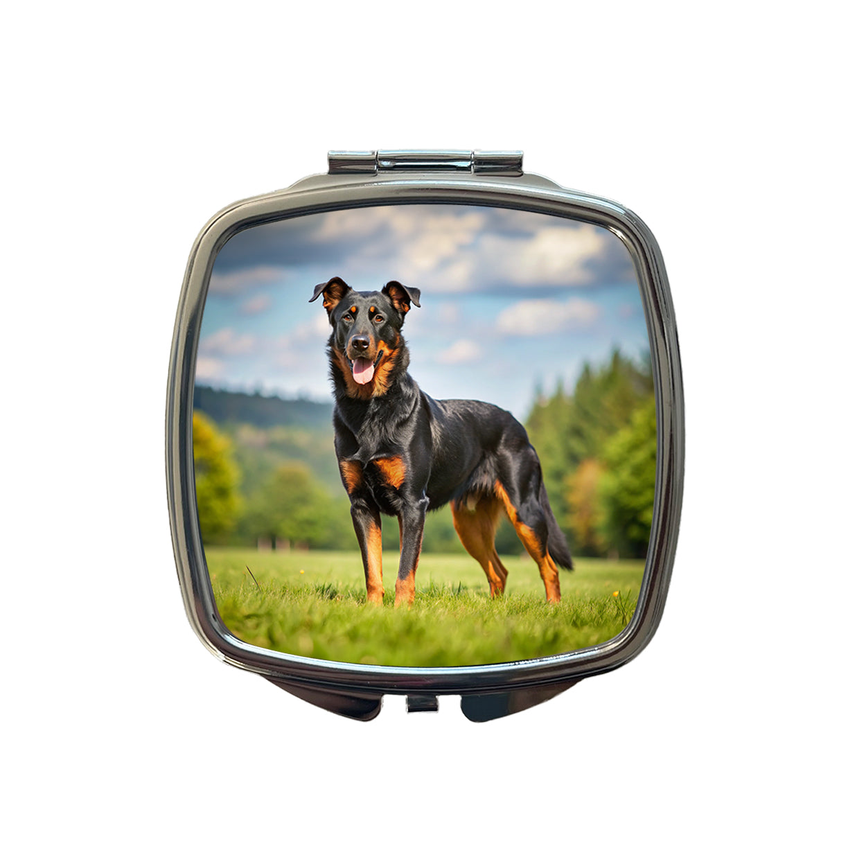 Beauceron Dog Photo Small Travel Purse Handbag Pocket Makeup Compact Mirror