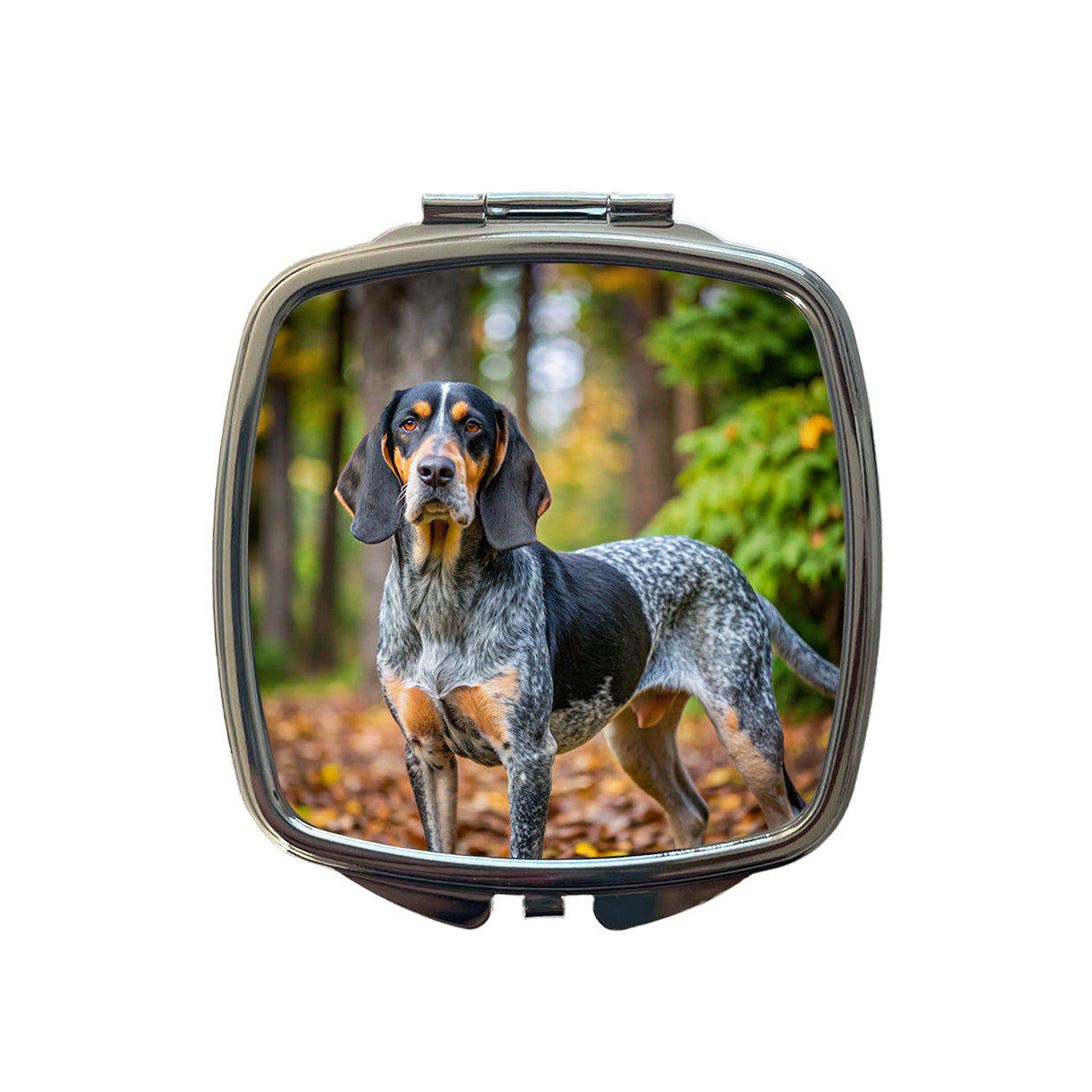 Bluetick Coonhound Dog Photo Small Travel Purse Handbag Pocket Makeup Compact Mirror