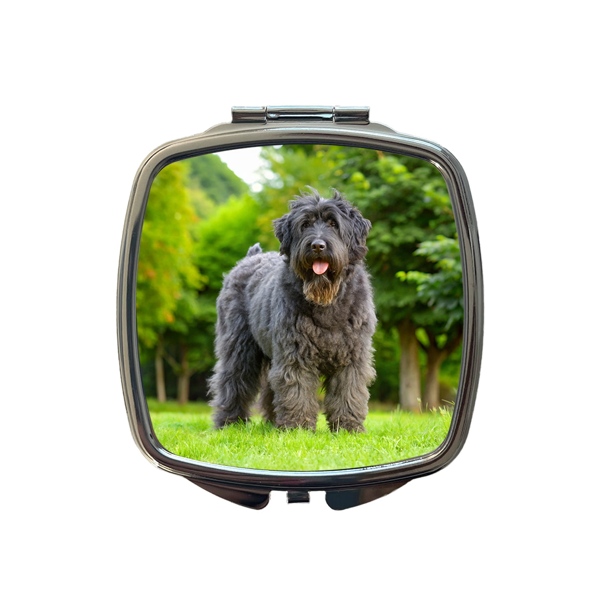 Bouviers Des Flandres Dog Photo Small Travel Purse Handbag Pocket Makeup Compact Mirror
