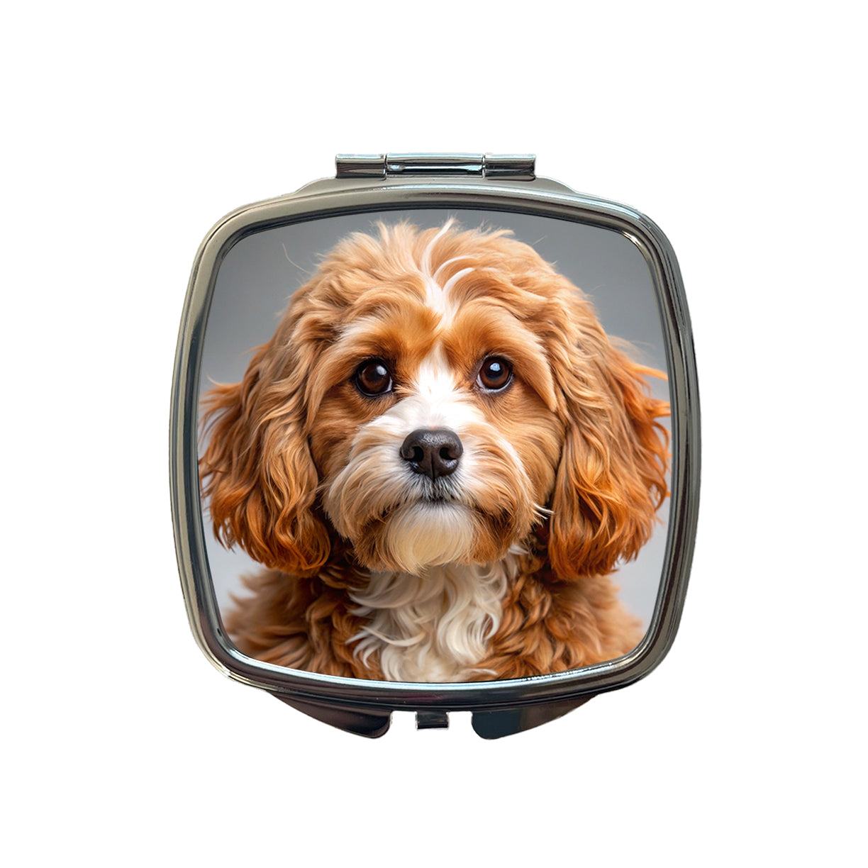 Cavapoo Dog Photo Small Travel Purse Handbag Pocket Makeup Compact Mirror