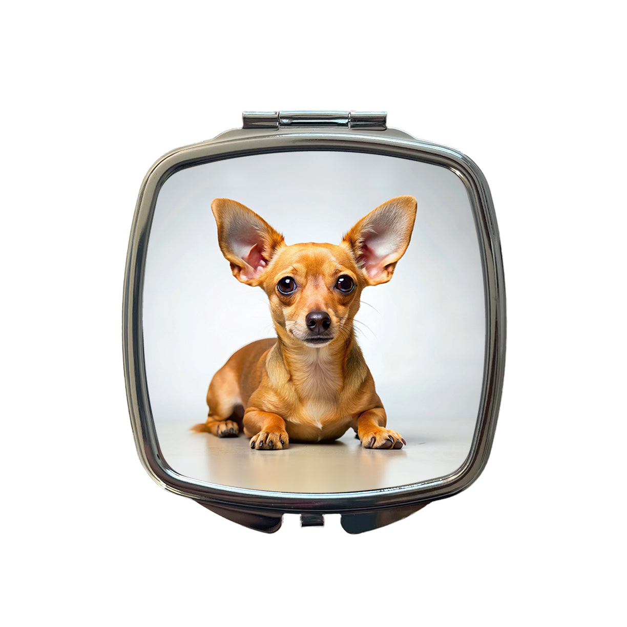 Chiweenie Dog Photo Small Travel Purse Handbag Pocket Makeup Compact Mirror