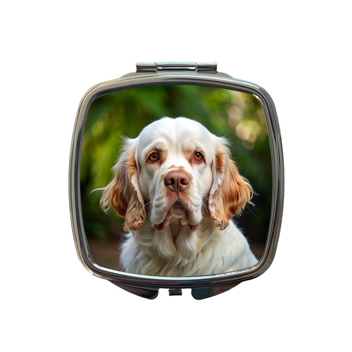 Clumber Spaniel Dog Photo Small Travel Purse Handbag Pocket Makeup Compact Mirror
