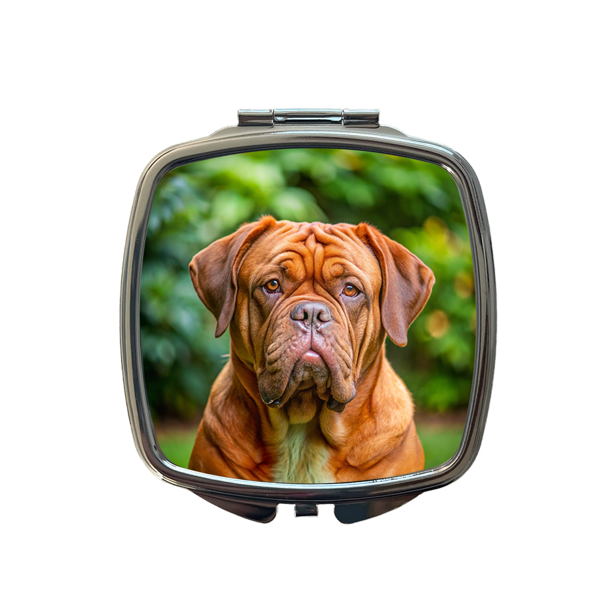 Dogues De Bordeaux Dog Photo Small Travel Purse Handbag Pocket Makeup Compact Mirror
