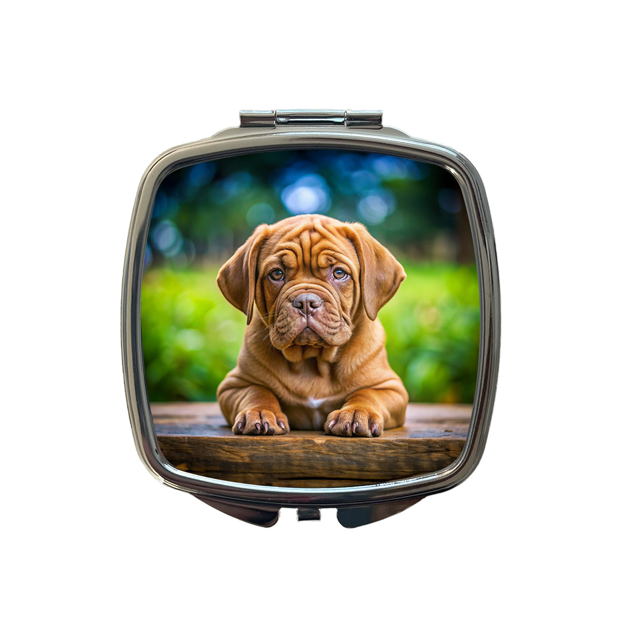 Dogues De Bordeaux Dog Puppy Photo Small Travel Purse Handbag Pocket Makeup Compact Mirror