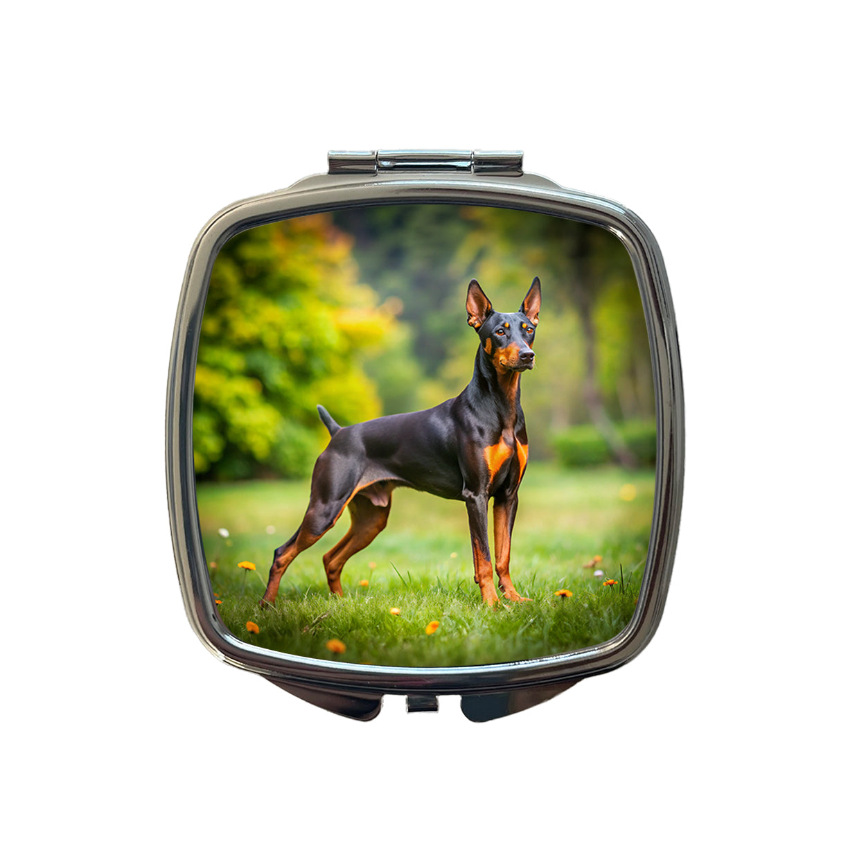 German Pinscher Dog Photo Small Travel Purse Handbag Pocket Makeup Compact Mirror