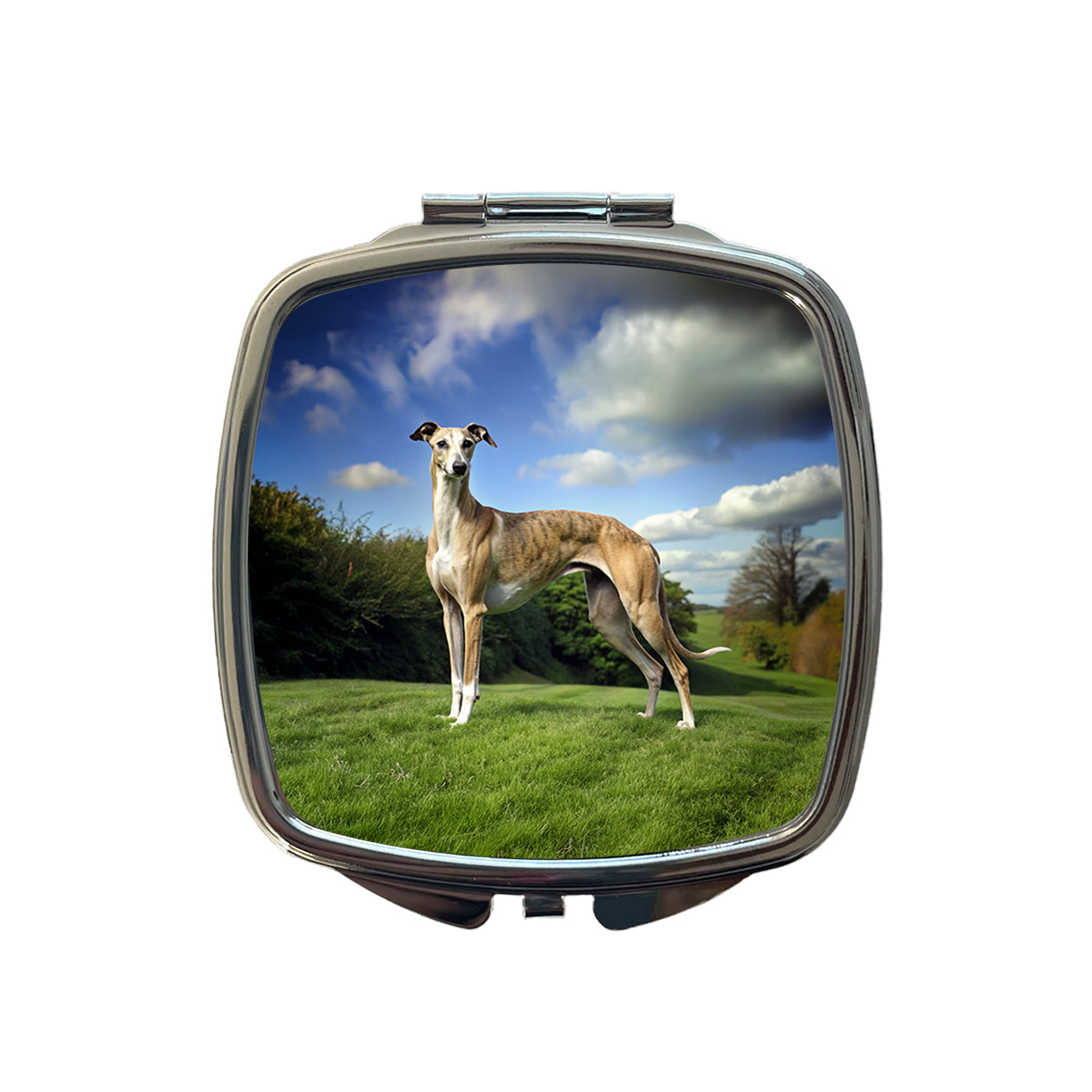 Greyhound Dog Photo Small Travel Purse Handbag Pocket Makeup Compact Mirror