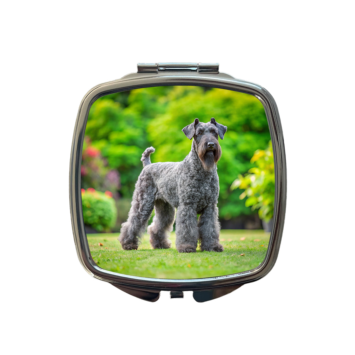 Kerry Blue Terrier Dog Photo Small Travel Purse Handbag Pocket Makeup Compact Mirror