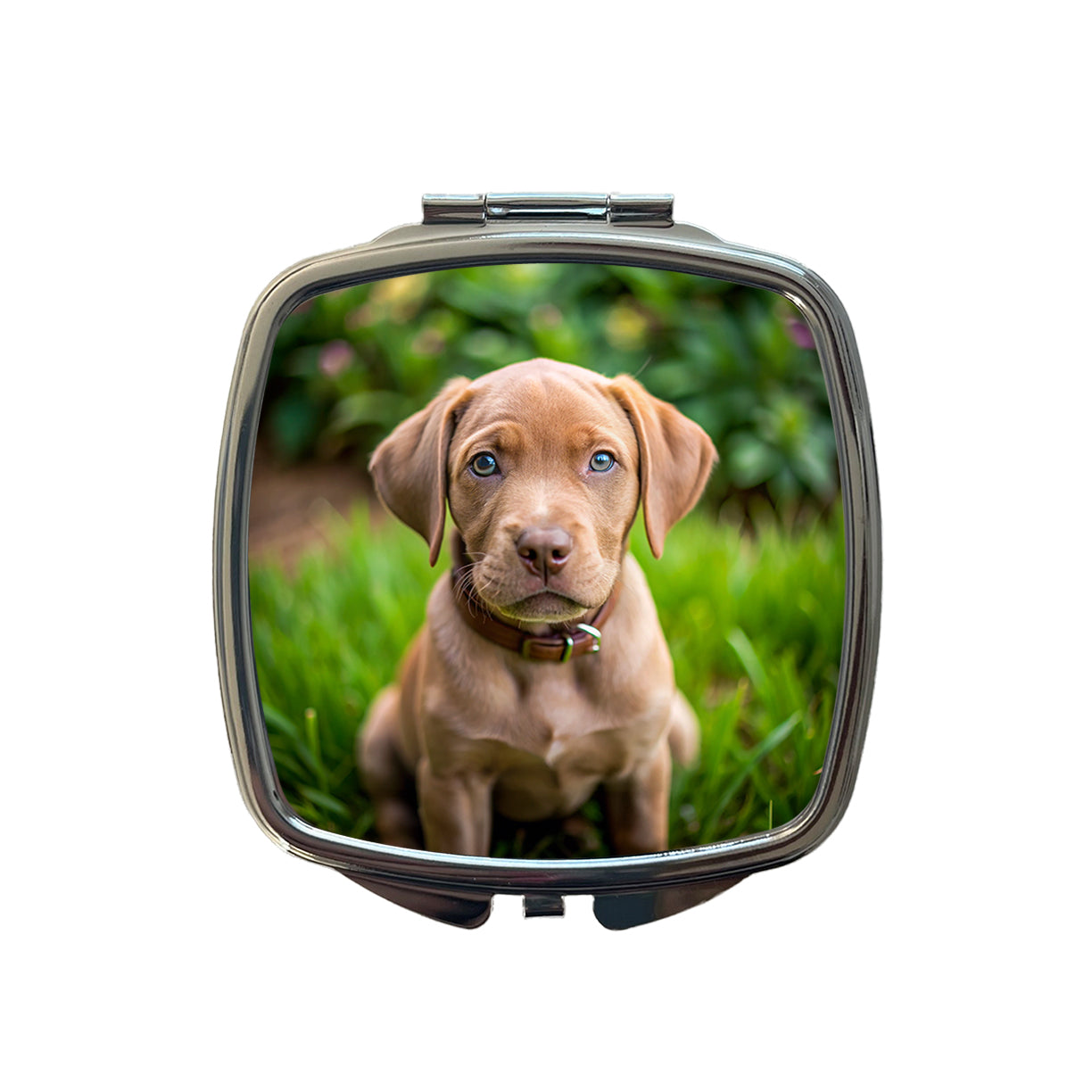 Labrabull Dog Puppy Photo Small Travel Purse Handbag Pocket Makeup Compact Mirror