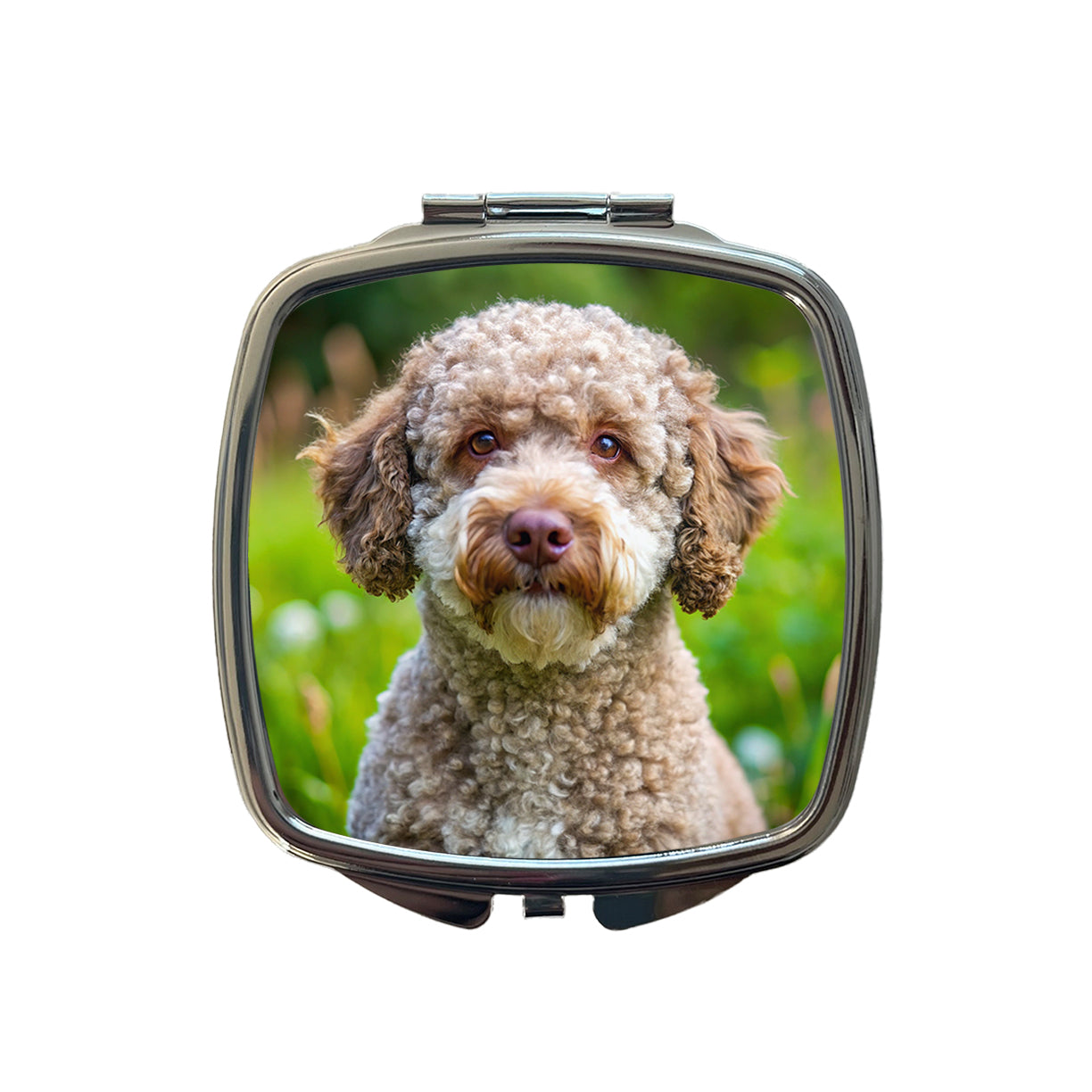 Lagotto Romagnolo Dog Photo Small Travel Purse Handbag Pocket Makeup Compact Mirror