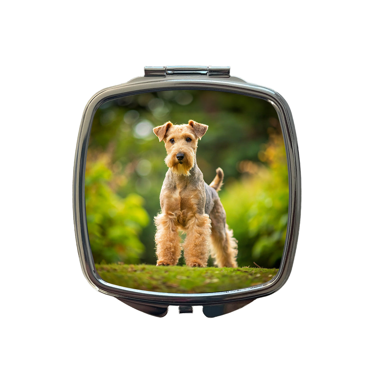 Lakeland Terrier Dog Photo Small Travel Purse Handbag Pocket Makeup Compact Mirror