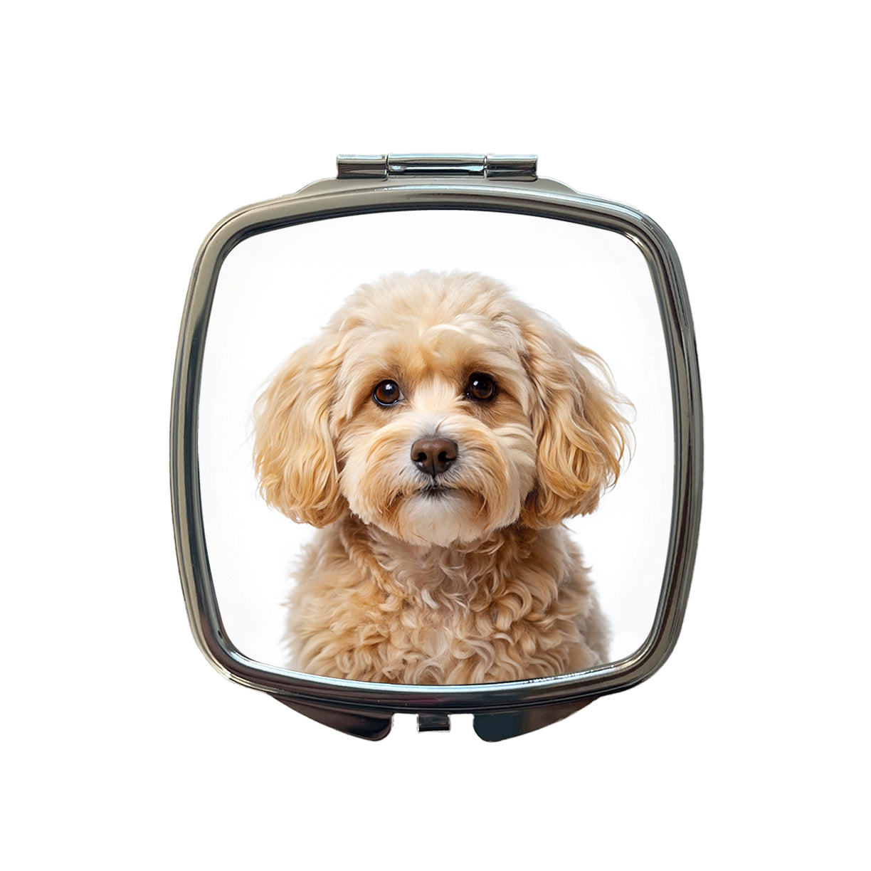 Maltipoo Dog Photo Small Travel Purse Handbag Pocket Makeup Compact Mirror