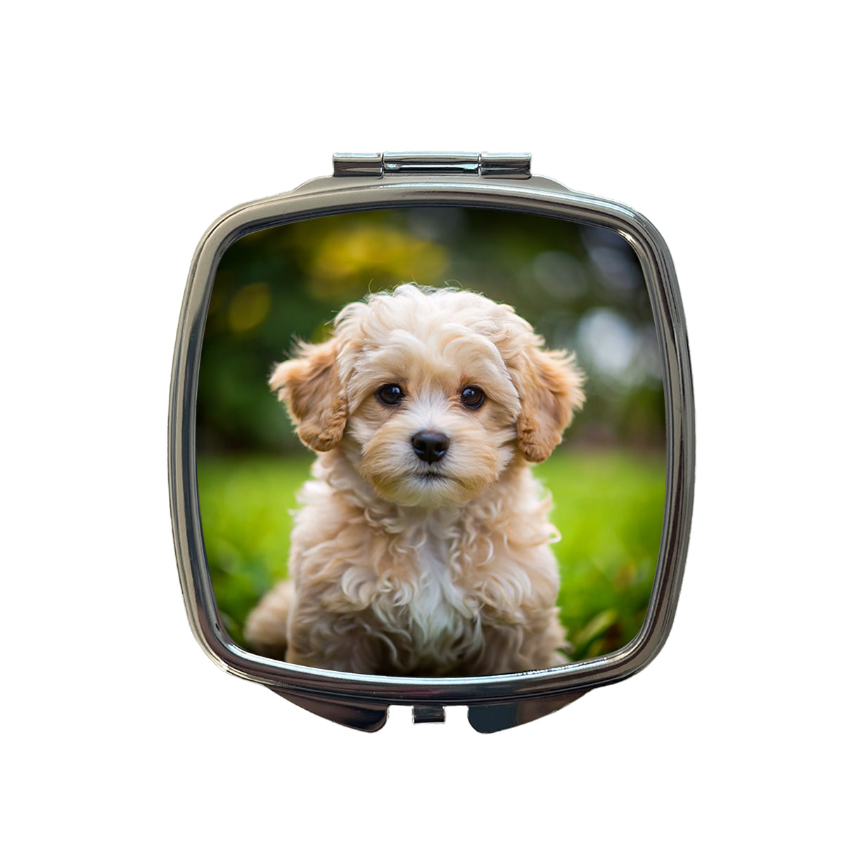 Maltipoo Dog Puppy Photo Small Travel Purse Handbag Pocket Makeup Compact Mirror