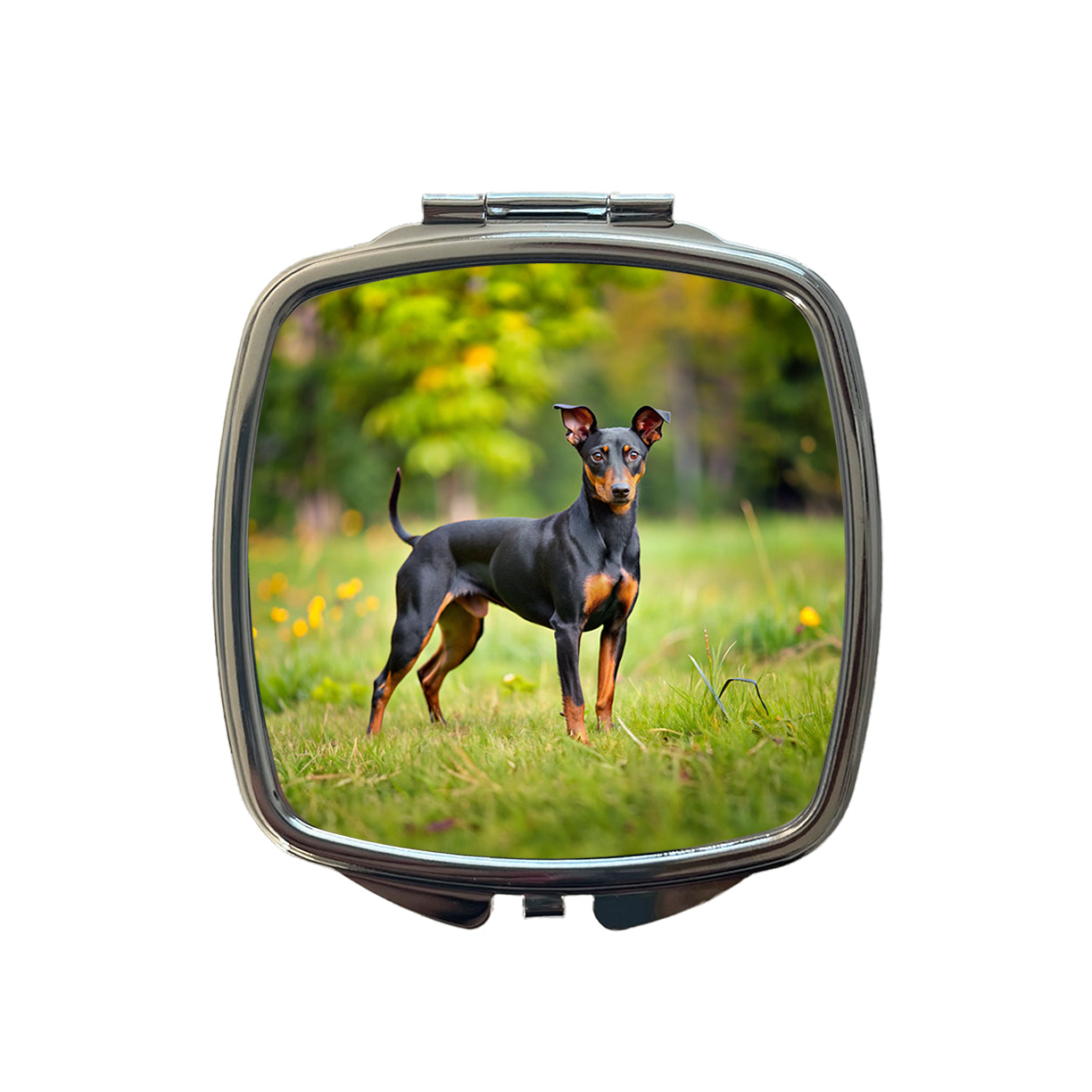Manchester Terrier Dog Photo Small Travel Purse Handbag Pocket Makeup Compact Mirror